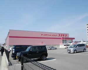 DSCN9008